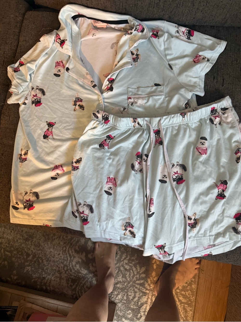 Paris Hilton Mint Green Short Pajama Set with Dog Print